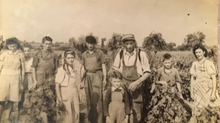 Les vendanges à La Tuilerie