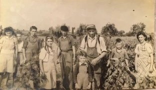 Les vendanges à La Tuilerie